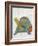 Turtle Friends II-Chariklia Zarris-Framed Premium Giclee Print