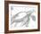 Turtle In The Grey-OnRei-Framed Art Print