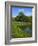 Turtle Pond Area in Central Park, New York City, New York, United States of America, North America-Richard Cummins-Framed Photographic Print