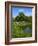 Turtle Pond Area in Central Park, New York City, New York, United States of America, North America-Richard Cummins-Framed Photographic Print