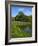 Turtle Pond Area in Central Park, New York City, New York, United States of America, North America-Richard Cummins-Framed Photographic Print