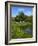 Turtle Pond Area in Central Park, New York City, New York, United States of America, North America-Richard Cummins-Framed Photographic Print