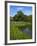 Turtle Pond Area in Central Park, New York City, New York, United States of America, North America-Richard Cummins-Framed Photographic Print