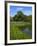 Turtle Pond Area in Central Park, New York City, New York, United States of America, North America-Richard Cummins-Framed Photographic Print