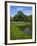 Turtle Pond Area in Central Park, New York City, New York, United States of America, North America-Richard Cummins-Framed Photographic Print