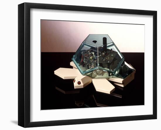 Turtle Robot-Victor De Schwanberg-Framed Photographic Print
