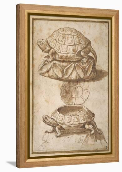 Turtle Shaped Sweetmeat Box-Giulio Romano-Framed Premier Image Canvas