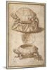 Turtle Shaped Sweetmeat Box-Giulio Romano-Mounted Giclee Print