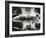 Turtle Skeleton, Baja, California, 1964-Brett Weston-Framed Photographic Print