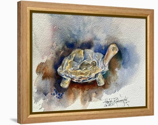 Turtle With Effect-Ashwini Rudraksi-Framed Stretched Canvas