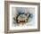 Turtle With Effect-Ashwini Rudraksi-Framed Premium Giclee Print