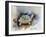 Turtle With Effect-Ashwini Rudraksi-Framed Art Print