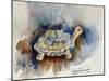 Turtle With Effect-Ashwini Rudraksi-Mounted Art Print