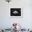 Turtle Without Shell-Henry Horenstein-Framed Photographic Print displayed on a wall