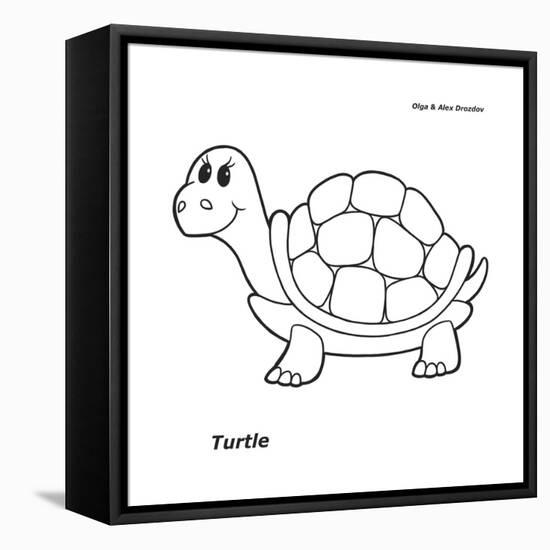 Turtle-Olga And Alexey Drozdov-Framed Premier Image Canvas