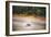 Turtle-Pixie Pics-Framed Photographic Print