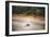 Turtle-Pixie Pics-Framed Photographic Print