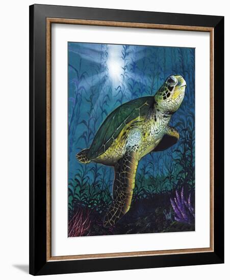 Turtle-Scott Westmoreland-Framed Art Print