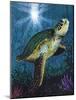 Turtle-Scott Westmoreland-Mounted Art Print