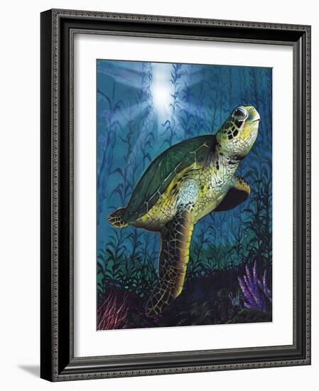 Turtle-Scott Westmoreland-Framed Art Print