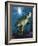 Turtle-Scott Westmoreland-Framed Art Print