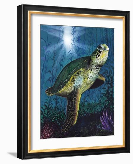 Turtle-Scott Westmoreland-Framed Art Print