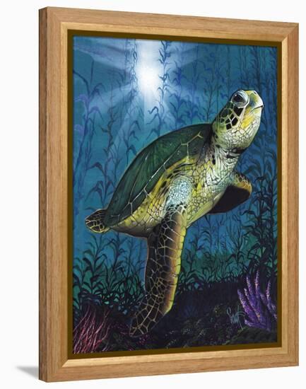 Turtle-Scott Westmoreland-Framed Stretched Canvas