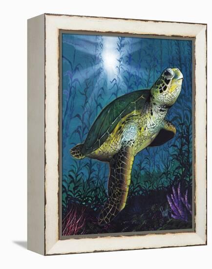 Turtle-Scott Westmoreland-Framed Stretched Canvas