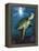 Turtle-Scott Westmoreland-Framed Stretched Canvas