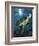 Turtle-Scott Westmoreland-Framed Premium Giclee Print