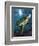 Turtle-Scott Westmoreland-Framed Premium Giclee Print