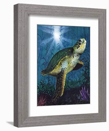 Turtle-Scott Westmoreland-Framed Premium Giclee Print