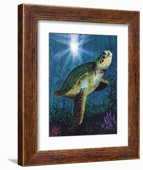 Turtle-Scott Westmoreland-Framed Premium Giclee Print