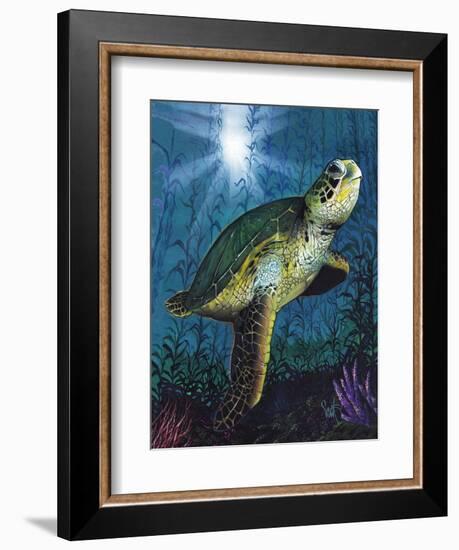 Turtle-Scott Westmoreland-Framed Premium Giclee Print