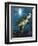 Turtle-Scott Westmoreland-Framed Premium Giclee Print