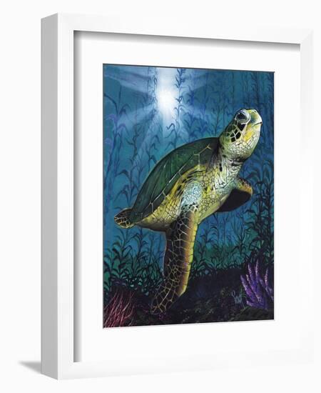 Turtle-Scott Westmoreland-Framed Premium Giclee Print