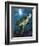 Turtle-Scott Westmoreland-Framed Premium Giclee Print