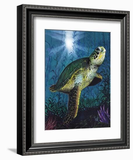 Turtle-Scott Westmoreland-Framed Premium Giclee Print