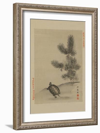 Turtle-null-Framed Art Print