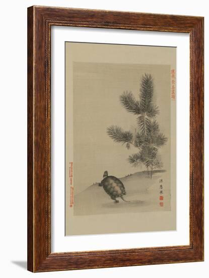 Turtle-null-Framed Art Print