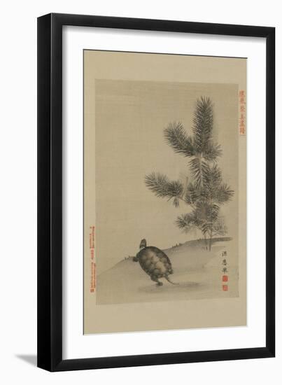 Turtle-null-Framed Art Print