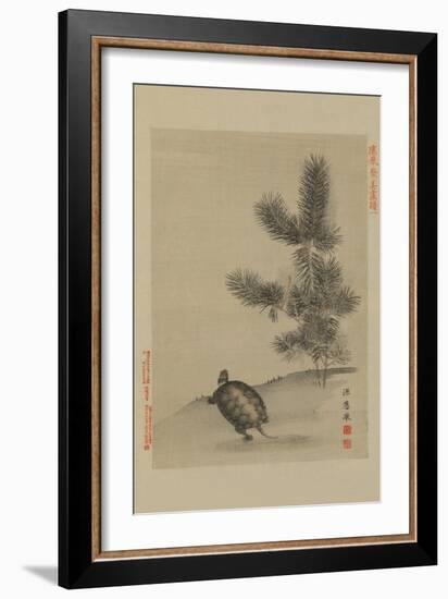 Turtle-null-Framed Art Print