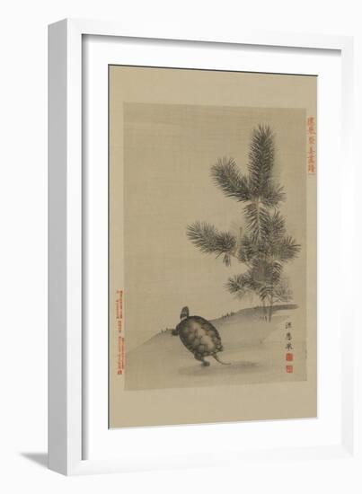 Turtle-null-Framed Art Print