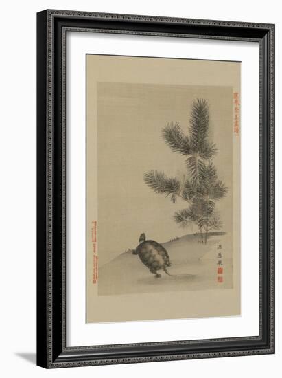 Turtle-null-Framed Art Print