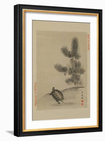 Turtle-null-Framed Art Print