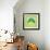 Turtle-Elizabeth Medley-Framed Art Print displayed on a wall