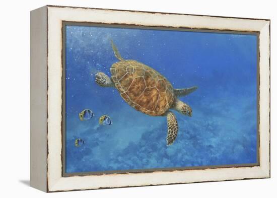 Turtle-Michael Jackson-Framed Premier Image Canvas