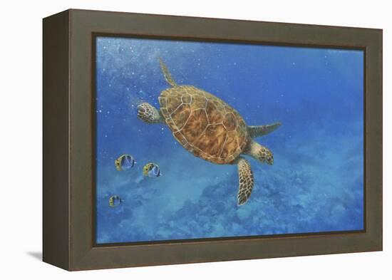 Turtle-Michael Jackson-Framed Premier Image Canvas