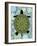 Turtle-Teofilo Olivieri-Framed Giclee Print