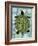 Turtle-Teofilo Olivieri-Framed Giclee Print